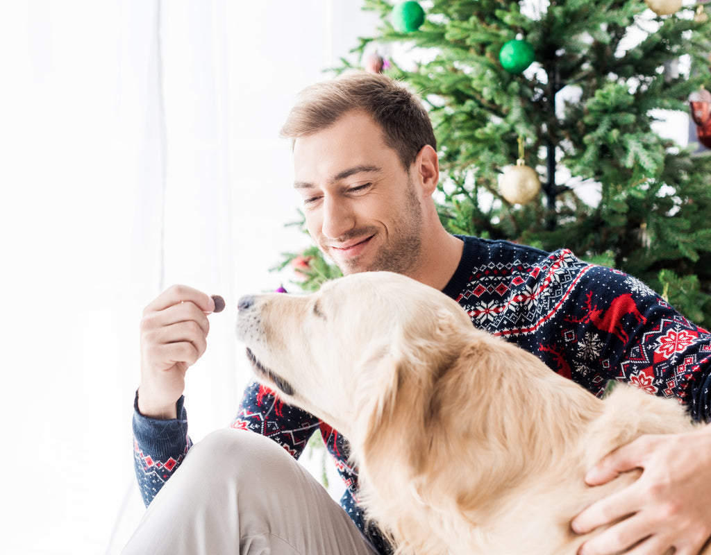 Holiday Foods that are Bad for Dogs: A Guide