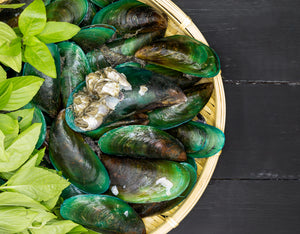 Green Lipped Mussels for Dogs: A Guide